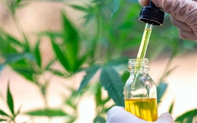 CBD õli 9 kasu tervisele – ja kõrvalmõjud