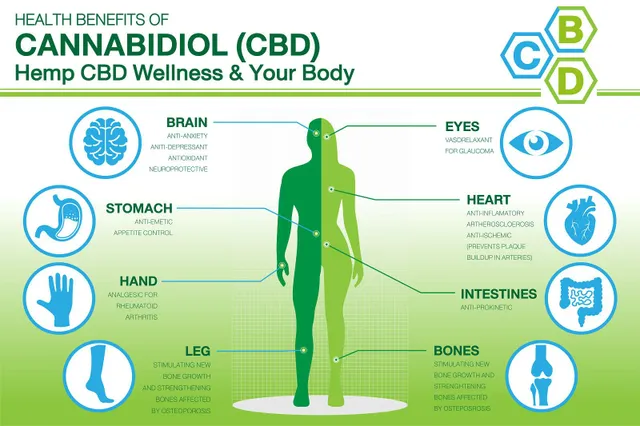 CBD õli 5 parimat kasu tervisele – ja pilk kõrvalmõjudele