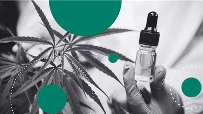Kanep vs CBD: mis vahe on?